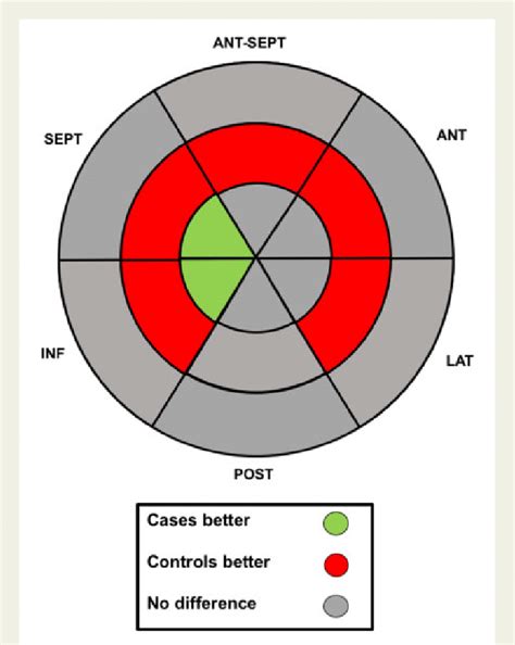 longitudinal strain bull's eye